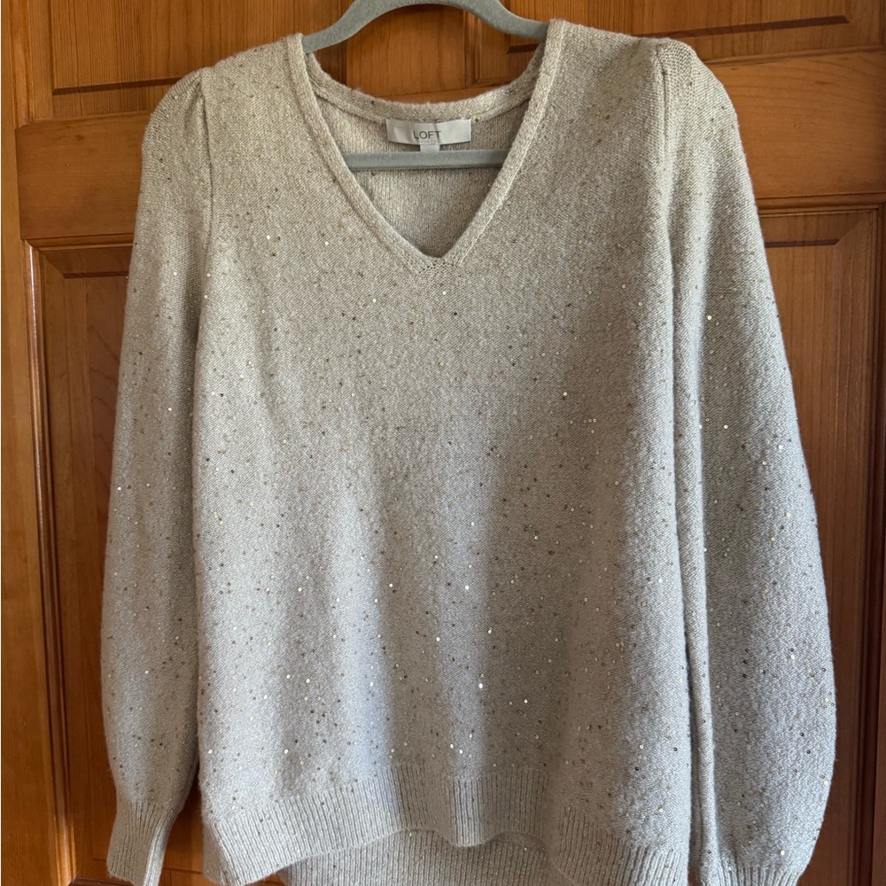 Loft Cream Sweater/ Tan and Gold Sequin M